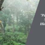 Pakshipathalam Bird Sanctuary Kerala's Hidden Gem for Avian Enthusiasts