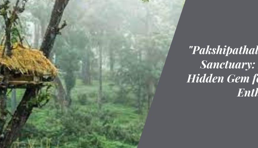 Pakshipathalam Bird Sanctuary Kerala's Hidden Gem for Avian Enthusiasts