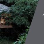 Unwind in Nature Discovering the Best Camp Stays in Wayanad