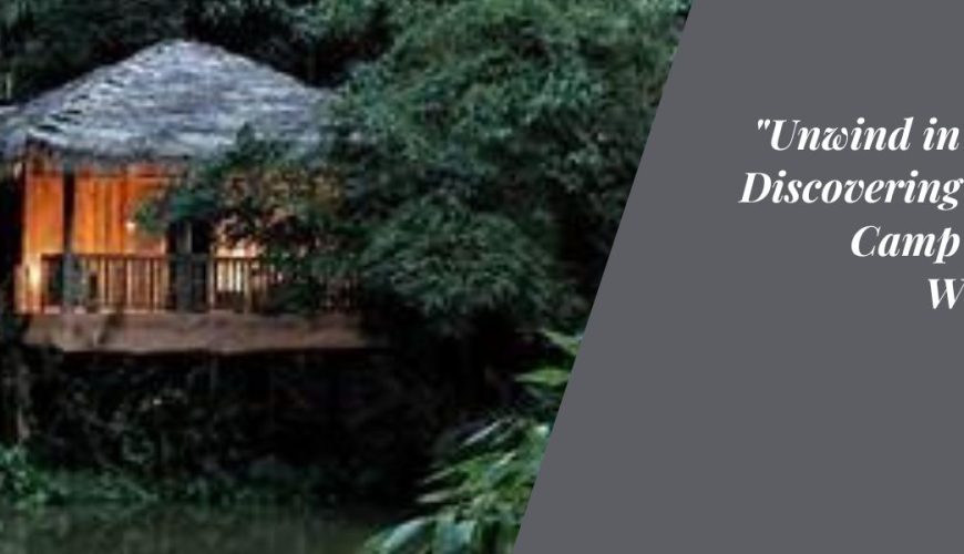 Unwind in Nature Discovering the Best Camp Stays in Wayanad