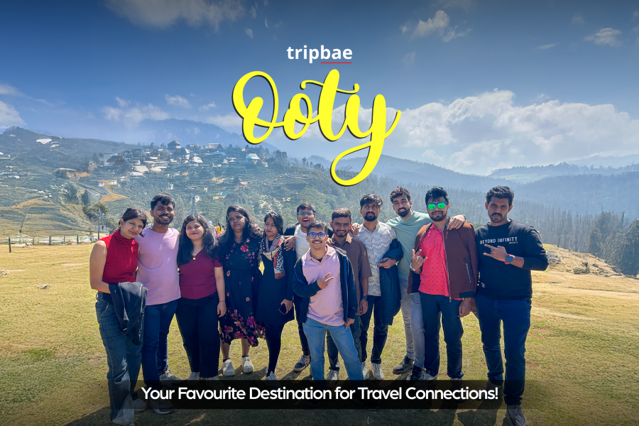 Ooty to bangalore trains Ooty to bangalore bus ooty to bangalore distance ooty to bangalore bus ksrtc ooty to bangalore by car ooty to bangalore volvo bus ooty to bangalore ksrtc bus timings ooty to bangalore bus timings ooty to bangalore ooty tourist placeswhere is ooty located in which state ooty hotelsooty wikipedia ooty imagesooty is famous for ooty is located in which mountains ooty tourist places list with images places to visit in ooty in 1 day places to visit in ooty in 2 days package ooty tourist places list pdf ooty tourist places map unique places to visit in ooty places to visit in ooty in 3 days ooty tourist package