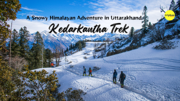 Winter Trek - Kedarkantha Trek