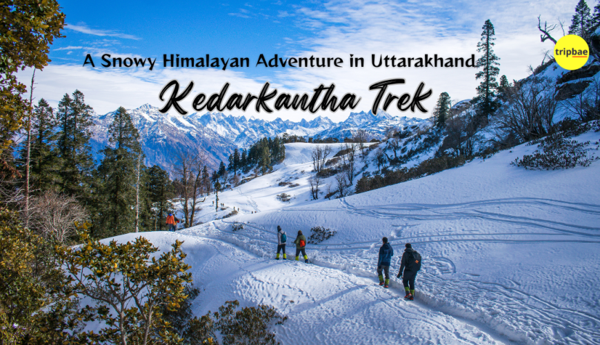Winter Trek - Kedarkantha Trek