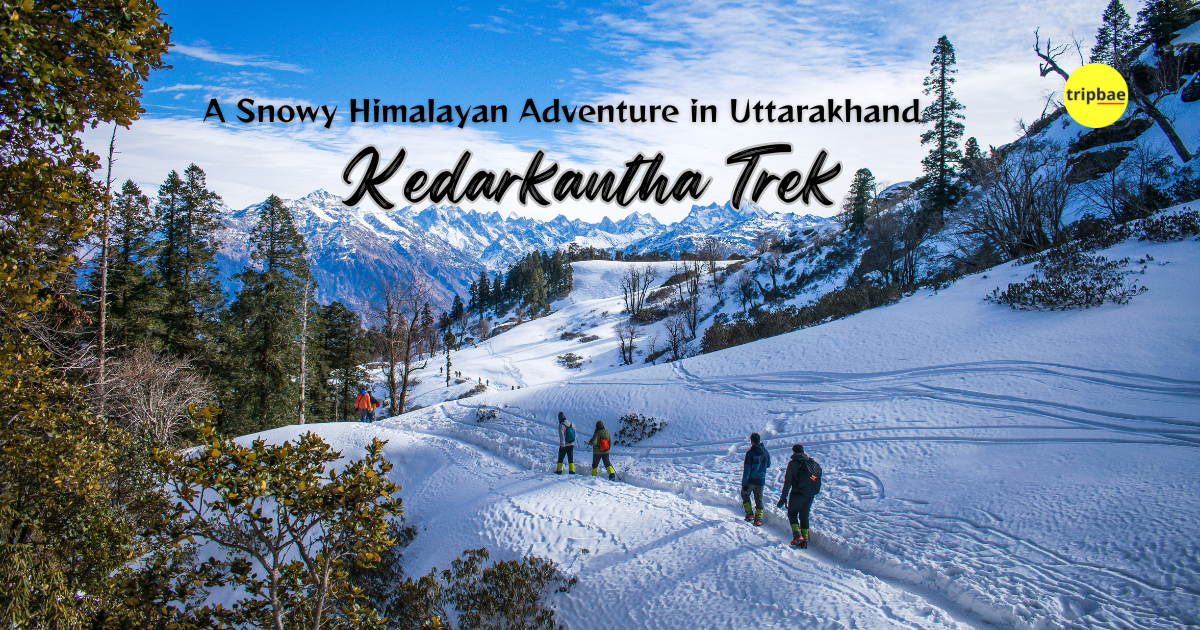 Winter Trek - Kedarkantha Trek