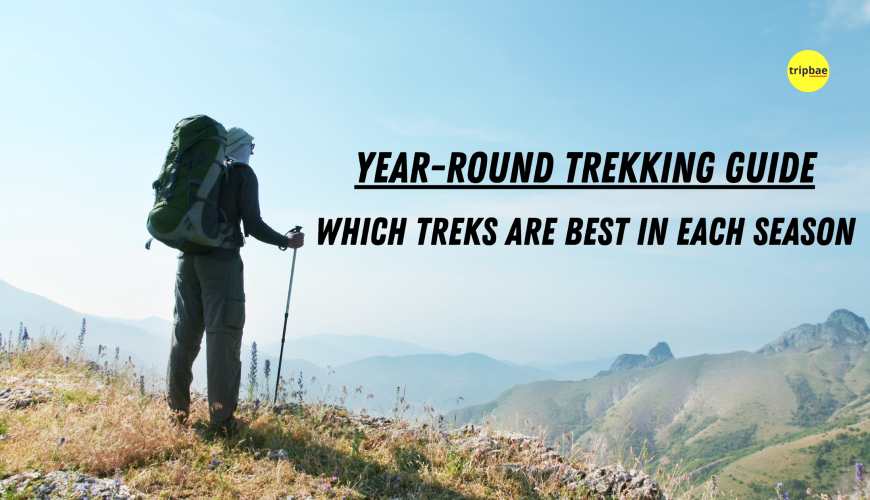 Year Round Trekking Guide