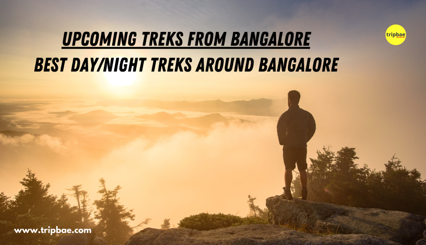 Upcoming Treks from Bangalore: Best Treks Around Bangalore
