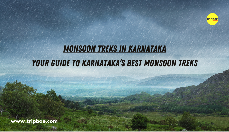 Monsoon treks in karnataka with distance Best monsoon treks in Karnataka Monsoon treks in karnataka from Bangalore Kumara Parvatha trek Top 5 trekking places in Karnataka Kudremukh trek Karnataka trekking packages Treks in Bangalore monsoon in karnataka today best monsoon in Karnataka karnataka monsoon season monsoon coming to Karnataka heavy rainfall in Karnataka monsoon treks in karnataka with distance monsoon treks in karnataka open now online appointments monsoon treks in Karnataka monsoon treks in karnataka from Bangalore top rated monsoon treks in Karnataka monsoon treks in karnataka with distance monsoon treks in karnataka open now online appointments monsoon treks in Karnataka monsoon treks in karnataka from Bangalore top rated monsoon treks in karnataka