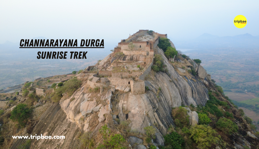 channarayana durga trek difficulty channarayana durga trek fees channarayana durga trek distance channarayana durga trek booking channarayana durga trek timings channarayana durga trek open now channarayana durga trek review channarayana durga trek package channarayana durga trek from Bangalore Channarayana durga trek distance Channarayana Durga trek booking Channarayana Durga trek timings Channarayana Durga trek difficulty level Channarayana Durga trek Distance from Bangalore Channarayana Durga trek review Channarayana durga trek package Channarayana Durga trek Indiahikes channarayana durga trek difficulty channarayana durga trek fees channarayana durga trek distance