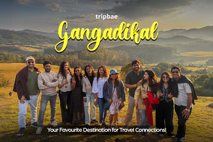 Gangadikal peak distance Gangadikal peak from bangalore Gangadikal Peak height Gangadikal peak trek Gangadikal trek Booking Gangadikal trek distance Gangadikal trek distance from Bangalore Gangadikal trek entry fee Gangadikal trek itinerary Gangadikal trek starting point Kudremukh trek distance Kurinjal Trek Distance