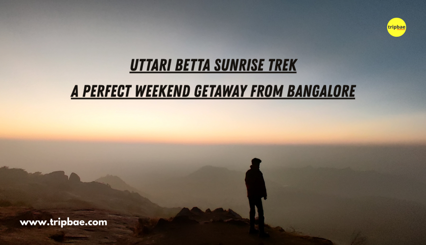 One day trips from bangalore one day sunrise treks from bangalore treks around bangalore day outing near bangalore one day sunrise trek best sunrise treks near bangalore best one day treks near bangalore best day hikes around bangalore Sunrise treks in and around bangalore sunrise/night treks around bangalore trekking places bangalore treks in bangalore treks in bangalore trekking places near bangalore