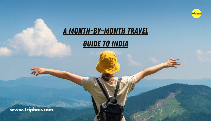 month by month travel guide to india