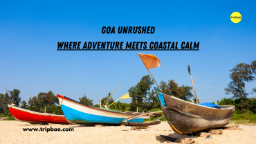 adventure sports in goa goa bangalore package goa packages from banglore bangalore to goa trip goa water activities goa parties parties in goa events in goa best time to visit goa top places to visit in goa