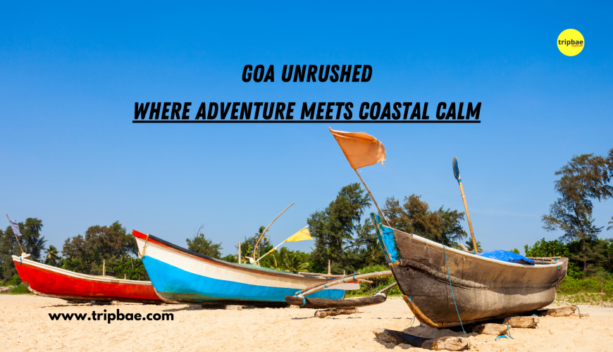 adventure sports in goa goa bangalore package goa packages from banglore bangalore to goa trip goa water activities goa parties parties in goa events in goa best time to visit goa top places to visit in goa