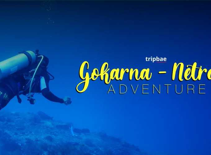 gokarna netrani adventure scuba diving in netrani islands water sports in netrani islands scuba diving in murudeshwar top places to visit in gokarna murudeshwar places around gokarna netrani water activities