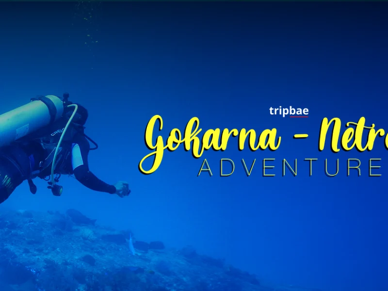 gokarna netrani adventure scuba diving in netrani islands water sports in netrani islands scuba diving in murudeshwar top places to visit in gokarna murudeshwar places around gokarna netrani water activities