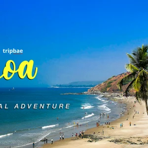 goa bangalore package bangalore to goa goa water sports water sports in goa parties in goa goan parties adventure activities in goa goa adventure activities bars and pubs in goa