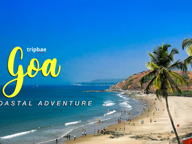 goa bangalore package bangalore to goa goa water sports water sports in goa parties in goa goan parties adventure activities in goa goa adventure activities bars and pubs in goa