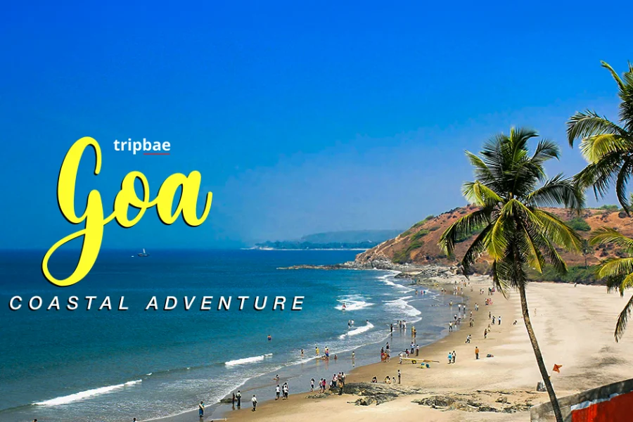 goa bangalore package bangalore to goa goa water sports water sports in goa parties in goa goan parties adventure activities in goa goa adventure activities bars and pubs in goa