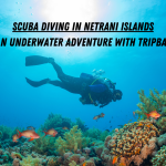 Scuba diving in netrani islands meekend getaways from bangalore scuba adventure by tripbae tripbae scuba diving trip scuba diving in gokarna scuba diving in karntaka