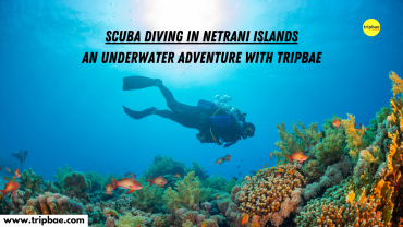 Scuba diving in netrani islands meekend getaways from bangalore scuba adventure by tripbae tripbae scuba diving trip scuba diving in gokarna scuba diving in karntaka