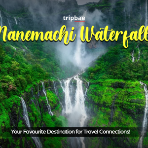 Nanemachi Waterfall trek group package, Nanemachi night trek booking, Nanemachi group trek from Pune, Nanemachi trekking for solo travellers, Nanemachi trek with friends, Nanemachi trekking experience Pune
