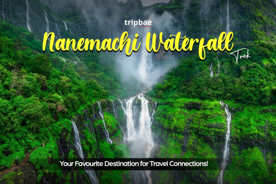 Nanemachi Waterfall trek group package, Nanemachi night trek booking, Nanemachi group trek from Pune, Nanemachi trekking for solo travellers, Nanemachi trek with friends, Nanemachi trekking experience Pune