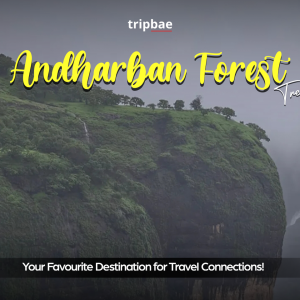 Andharban trek group package, Andharban night trek booking, Andharban group trek from Pune, Andharban trekking for solo travellers, Andharban trek with friends, Andharban trekking experience Pune