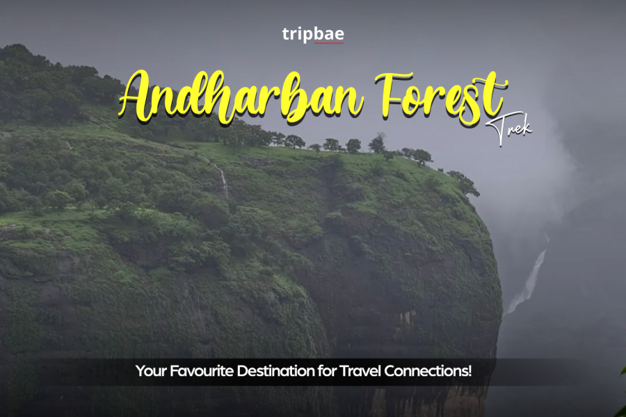 Andharban trek group package, Andharban night trek booking, Andharban group trek from Pune, Andharban trekking for solo travellers, Andharban trek with friends, Andharban trekking experience Pune