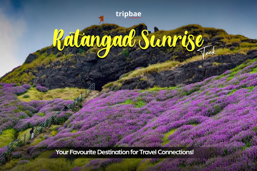 Ratangad Fort trek from Pune with transport, Ratangad Fort trekking package from Pune, Pune to Ratangad Fort trek package, Ratangad Fort guided trek from Pune, Ratangad Fort trek booking from Pune, best Ratangad Fort trek packages