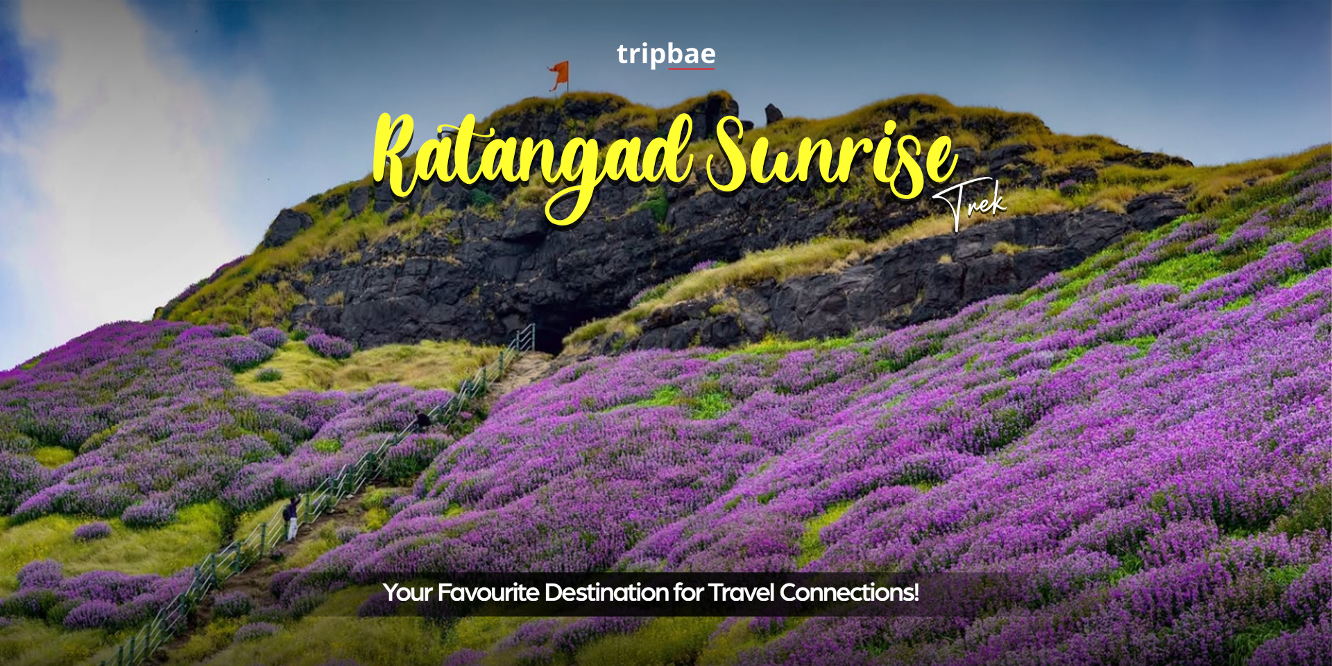 Ratangad Fort Trek from Pune