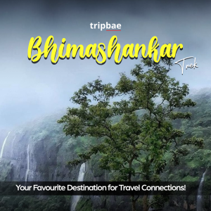Bhimashankar trek from Pune with transport, Bhimashankar trekking package from Pune, Pune to Bhimashankar trek package, Bhimashankar guided trek from Pune, Bhimashankar trek booking from Pune, best Bhimashankar trek packages