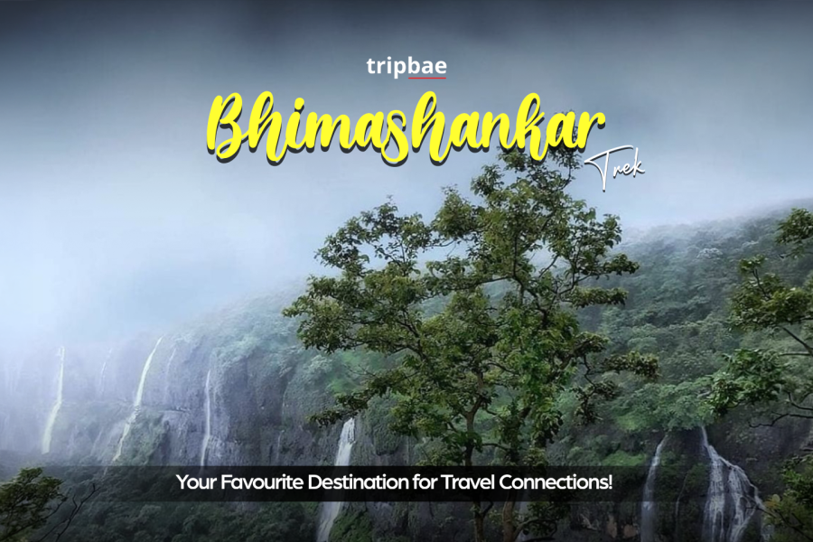 Bhimashankar trek from Pune with transport, Bhimashankar trekking package from Pune, Pune to Bhimashankar trek package, Bhimashankar guided trek from Pune, Bhimashankar trek booking from Pune, best Bhimashankar trek packages