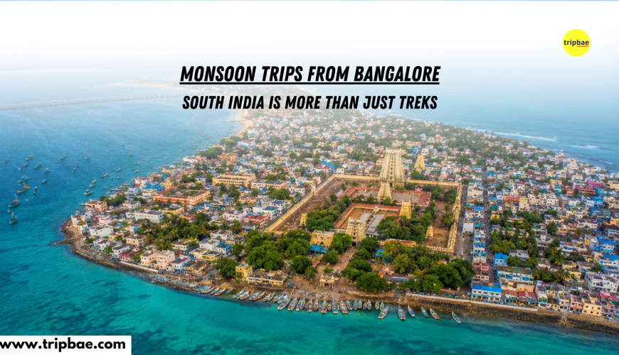 monsoon trips from bangalore weekend getaways from bangalore weekend trips from bangalore bangalore weekend tour packages kodachadri tour packages monsoon treks in karnataka monsoon treks in south india