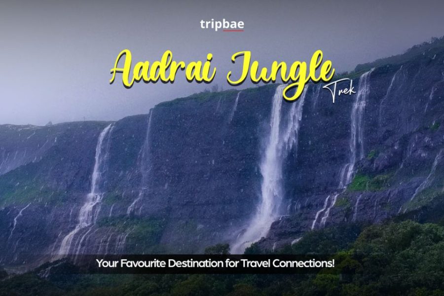 Aadrai Jungle monsoon trek from Pune, Aadrai Jungle trek near Pune, best jungle trek near Pune, Aadrai Jungle waterfall trek Maharashtra, Aadrai Jungle scenic trek from Pune, Aadrai Jungle trekking adventure