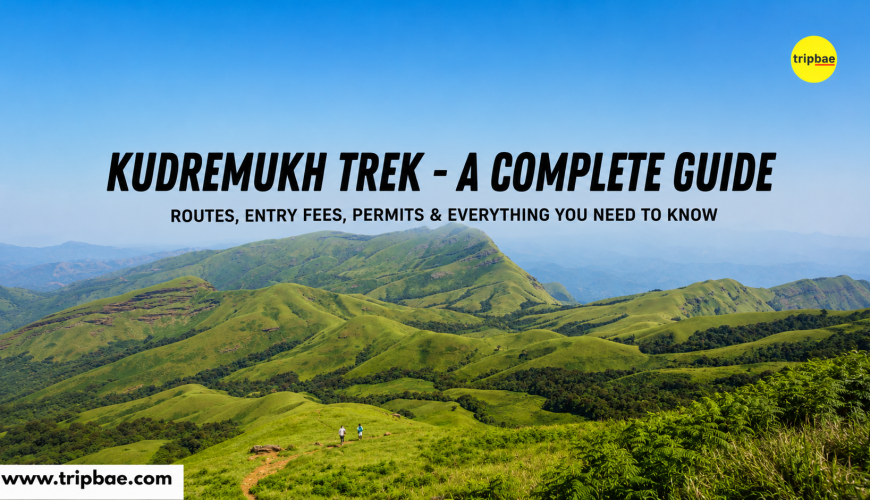 Kudremukh trek forest permits trek requirements everything you need to know complete kudremukh guide netravati trek kudremukh trek from bangalore