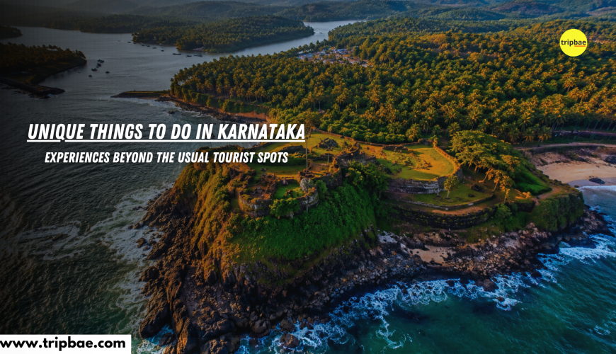 Unique Things to Do in Karnataka Experiences Beyond the Usual Tourist Spots (1)