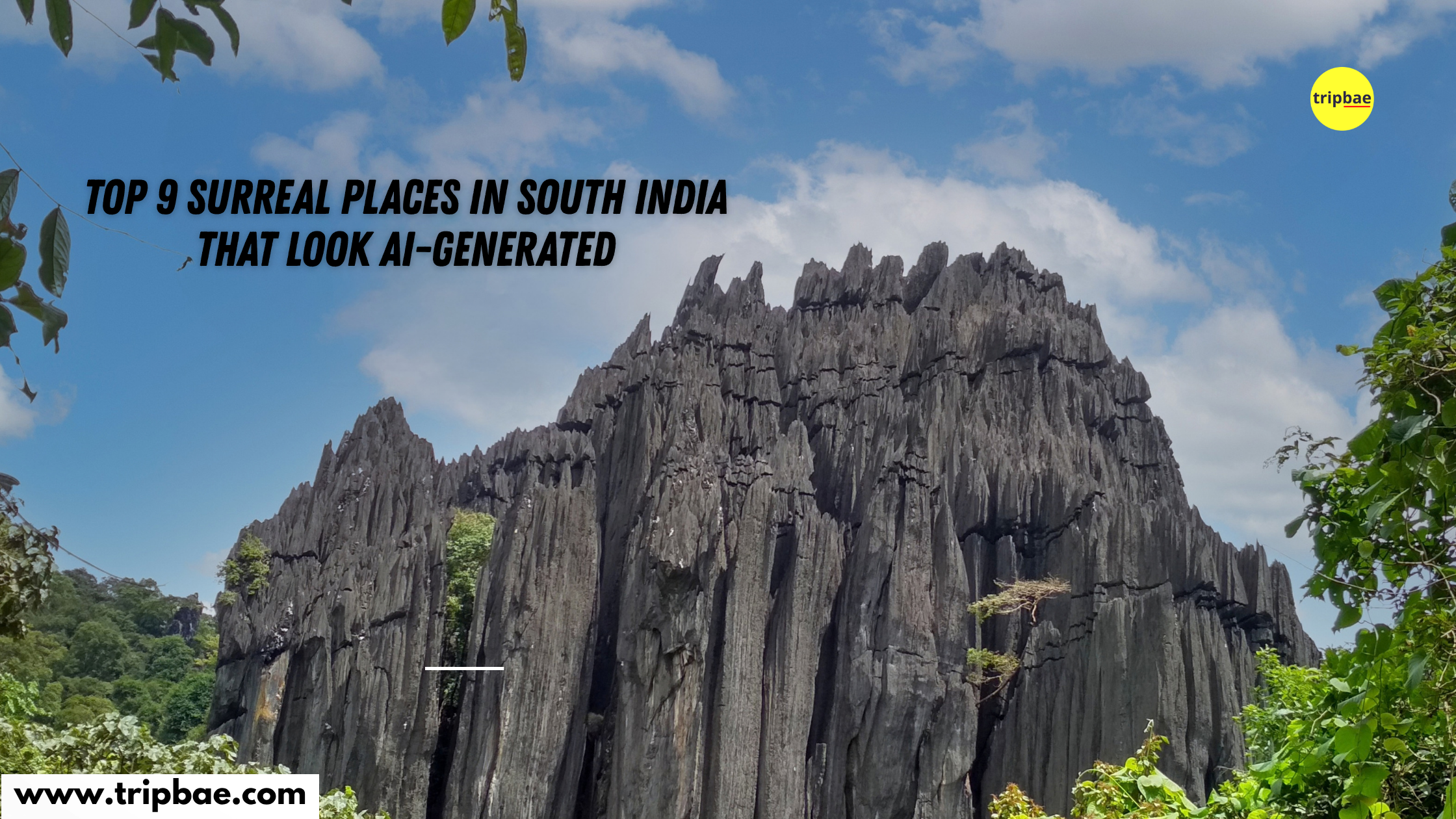 Surreal Places in South India Unique Places to Visit in South India South India Travel Offbeat Places in South India Weekend Getaways from Bangalore Karnataka Travel Kerala Travel Tamil Nadu Travel Tripbae