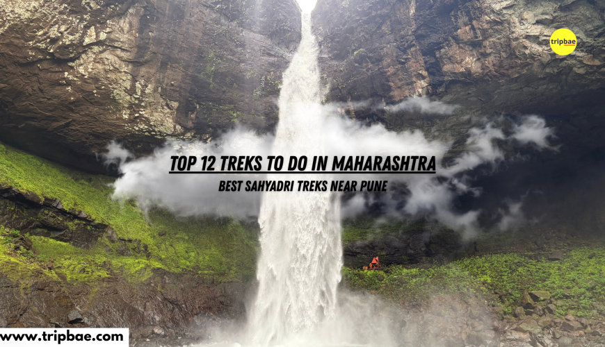Treks Near Pune, Maharashtra Treks, Sahyadri Treks, Monsoon Treks in Maharashtra, Weekend Treks from Pune, Waterfall Treks Near Pune, Fort Treks in Maharashtra, Trekking in Maharashtra, Tripbae Pune