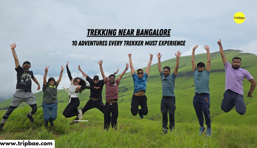 Treks near bangalore top 10 adventures every trekker should experience top one day sunrise treks near bangalore Top treks in south india treks in karnataka top treks to do in karnataka